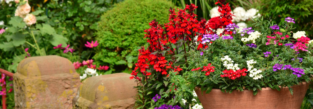 Planted flowers in a container garden outside