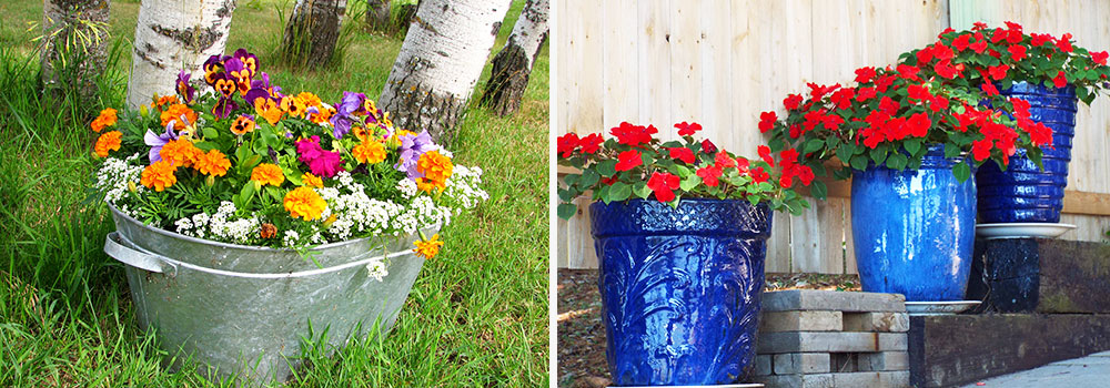 Container Gardens with flowers