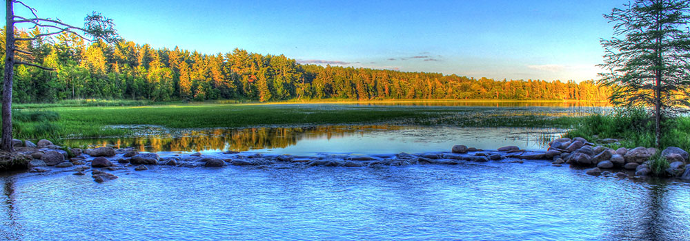 Mississippi River near a forest in Minnesota