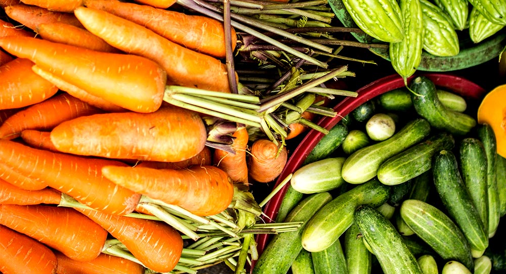 garden fresh carrots and cucumbers