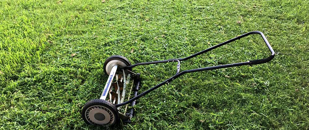 Lawn mower cutting green grass