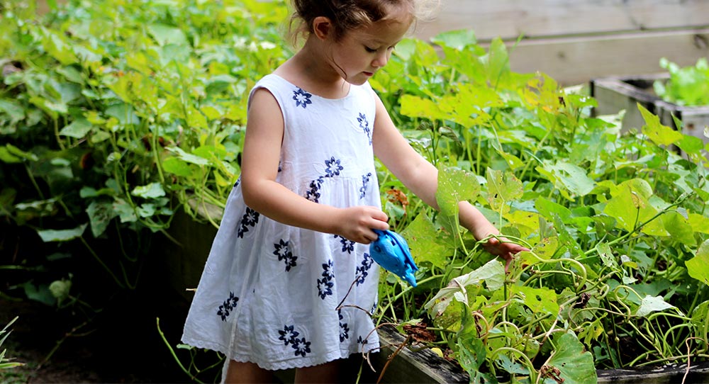 young girl gardening