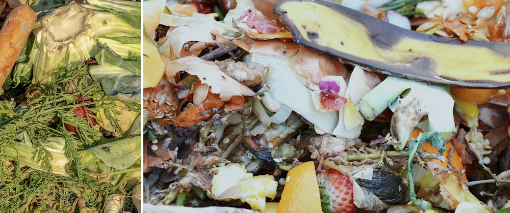 degradable foods compost