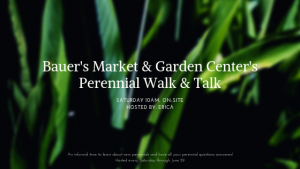 Perennial Walk & Talk @ Bauer's Market & Garden Center | La Crescent | Minnesota | United States