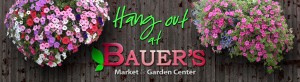 Seminar: Summer Pruning @ Bauer's Market & Garden Center | La Crescent | Minnesota | United States