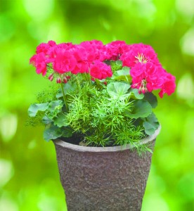 Memorial Day - Cemetery Urns @ Bauer's Market & Garden Center | La Crescent | Minnesota | United States