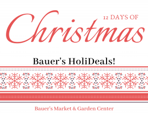 Bauer's HoliDeals! - Day 11 @ Bauer's Market & Garden Center | La Crescent | Minnesota | United States