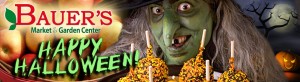 Trick 'er Treat 2020 @ Bauer's Market & Garden Center | La Crescent | Minnesota | United States