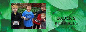 Bauer's Busy Bees - Spring 2020 @ Bauer's Market & Garden Center | La Crescent | Minnesota | United States