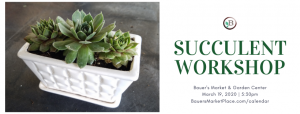 Succulent Workshop {March 19, 2020 5:30p} @ Bauer's Market & Garden Center | La Crescent | Minnesota | United States